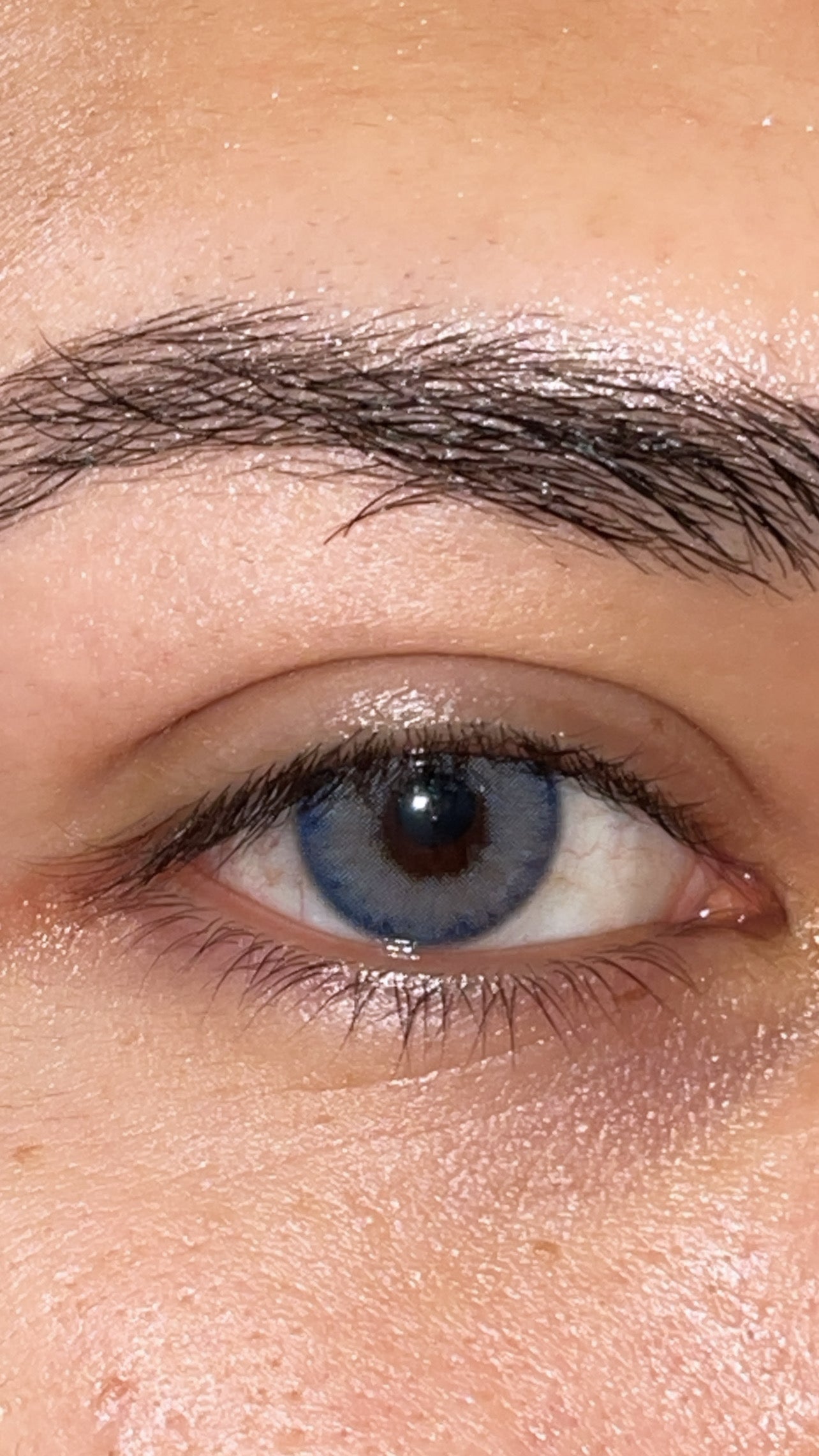 Cielo Colored Contacts