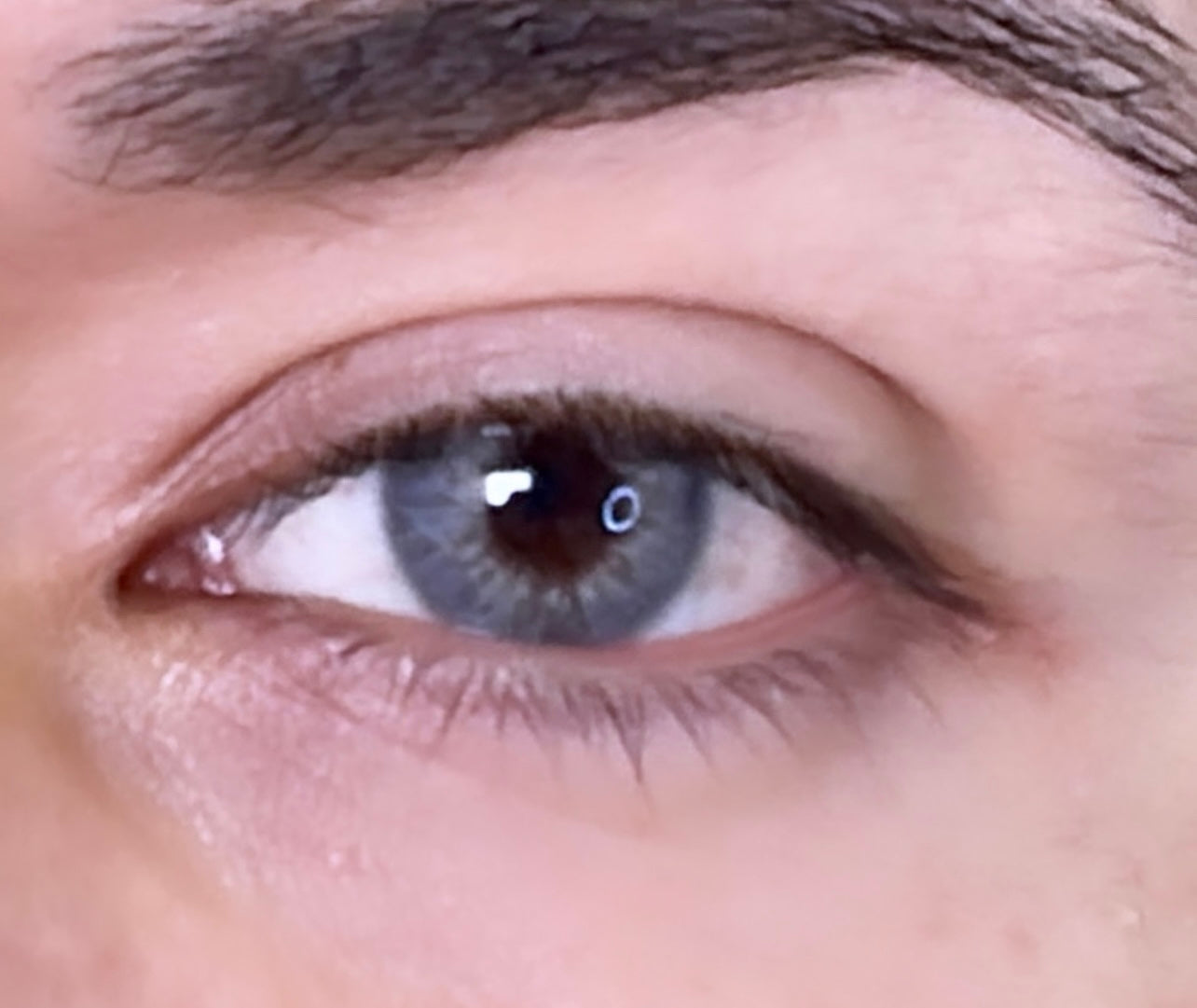 Ash Grey Colored Contact